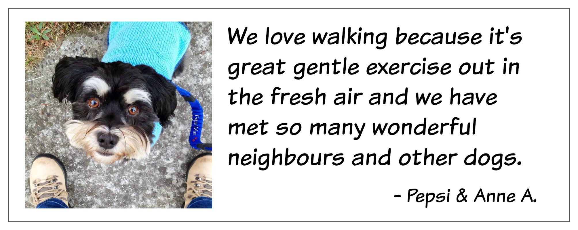 Dog walking quote